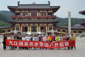 一场说走就走的净化心灵之旅——记MG娱乐集团户外活动一日游